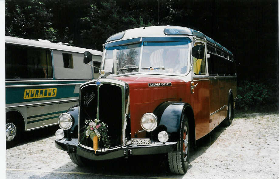(025'406) - Morger, Horgenberg - ZH 508'493 - Saurer/T�scher (ex P 23'167; ex Casper, Lenzerheide) am 15. August 1998 in Heitenried, Sensegraben