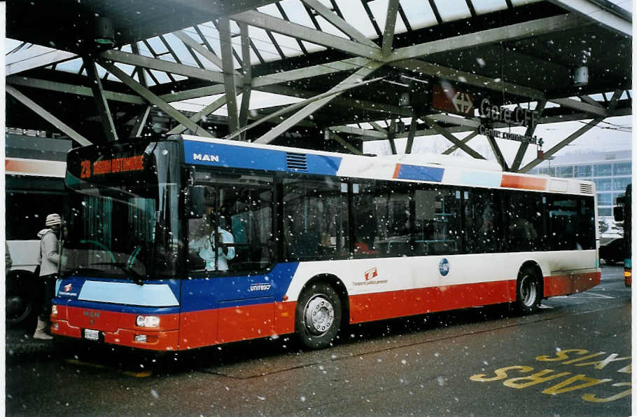 (075'528) - Globe-Limo, Gen�ve - Nr. 484/GE 960'120 - MAN am 6. M�rz 2005 in Gen�ve, A�roport