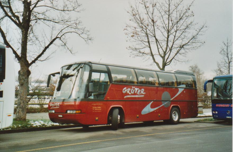 (112'229) - Gr�ter, Hochdorf - Nr. 4/LU 176'155 - Neoplan am 28. November 2008 in Bern, Guisanplatz