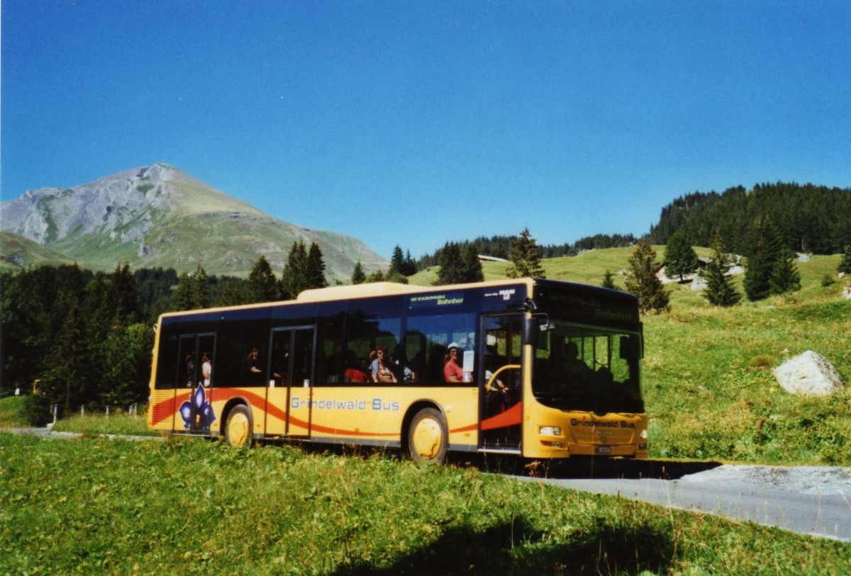 (120'407) - AVG Grindelwald - Nr. 18/BE 382'871 - MAN/G�ppel am 23. August 2009 in Grindelwald, Lauchb�hl