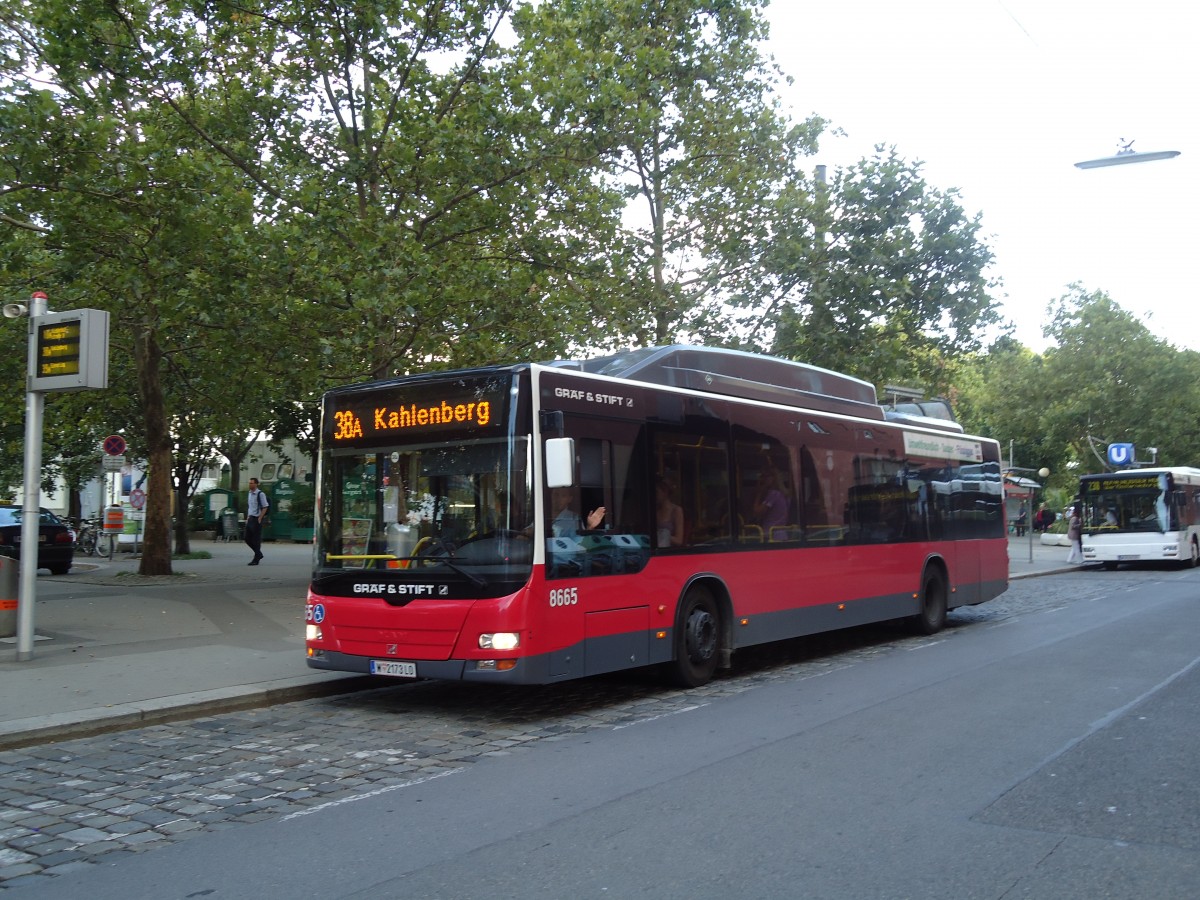 (128'447) - Wiener Linien - Nr. 8665/W 2173 LO - Gr�f&Stift am 9. August 2010 in Wien, Heiligenstadt 