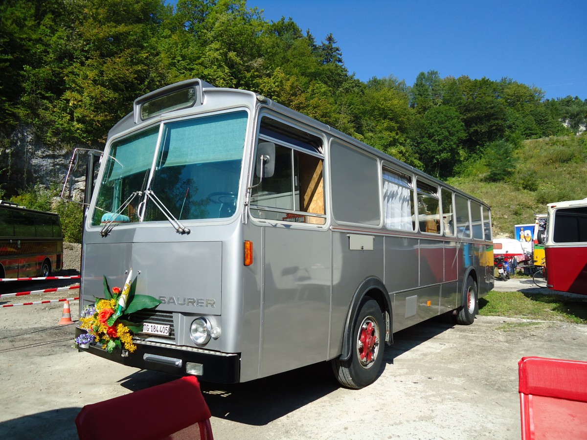 (128'939) - Gsell, Arbon - TG 184'405 - Saurer/Rizzi (ex Landolt, Z�rich; ex SAPJV, L'Isle Nr. 73; ex SAPJV, L'Isle Nr. 44; ex P 24'663) am 22. August 2010 in Thayngen, Wohnbustreffen