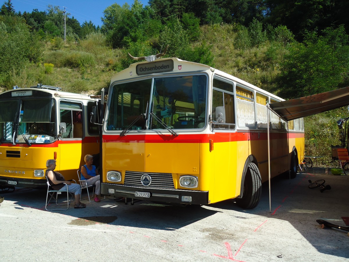 (128'956) - Gadliger, Horgen - ZH 293'555 - Saurer/T�scher (ex Lienert&Ehrler, Einsiedeln; ex Lienert, Einsiedeln) am 22. August 2010 in Thayngen, Wohnbustreffen