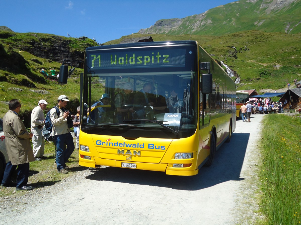 (134'704) - AVG Grindelwald - Nr. 24/BE 364'408 - MAN/G�ppel am 3. Juli 2011 in Grindelwald, Bachl�ger