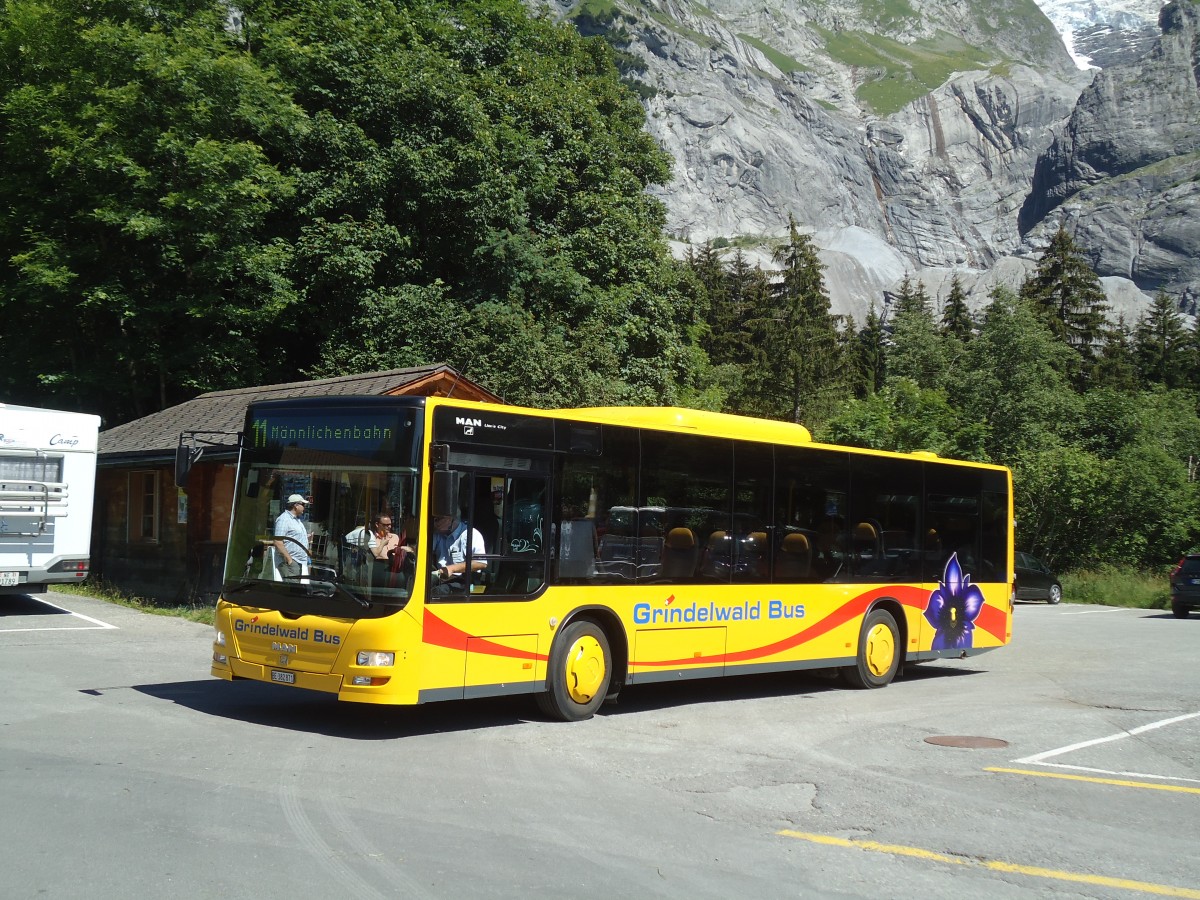 (134'768) - AVG Grindelwald - Nr. 18/BE 382'871 - MAN/G�ppel am 3. Juli 2011 in Grindelwald, Oberer Gletscher