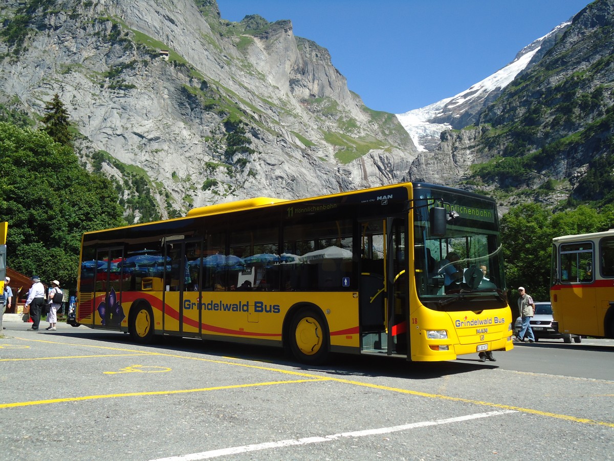(134'771) - AVG Grindelwald - Nr. 18/BE 382'871 - MAN/G�ppel am 3. Juli 2011 in Grindelwald, Oberer Gletscher