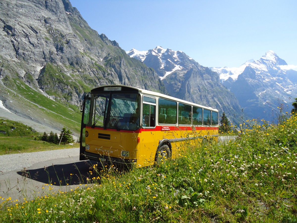 (134'776) - AVG Meiringen - Nr. 74/BE 607'481 - Saurer/R&J (ex P 24'357) am 3. Juli 2011 in Grindelwald, Oberer Lauchb�hl