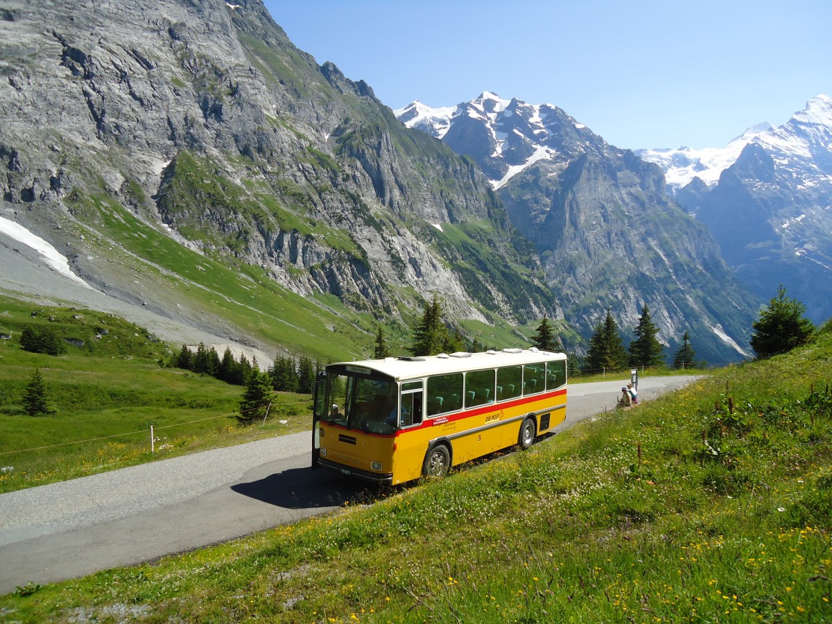(134'777) - AVG Meiringen - Nr. 74/BE 607'481 - Saurer/R&J (ex P 24'357) am 3. Juli 2011 in Grindelwald, Oberer Lauchb�hl