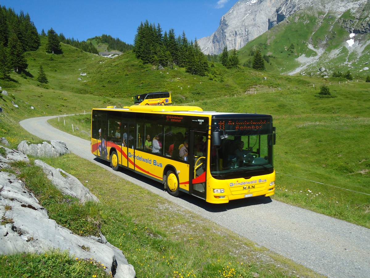 (134'779) - AVG Grindelwald - Nr. 11/BE 261'865 - MAN am 3. Juli 2011 in Grindelwald, Oberer Lauchb�hl