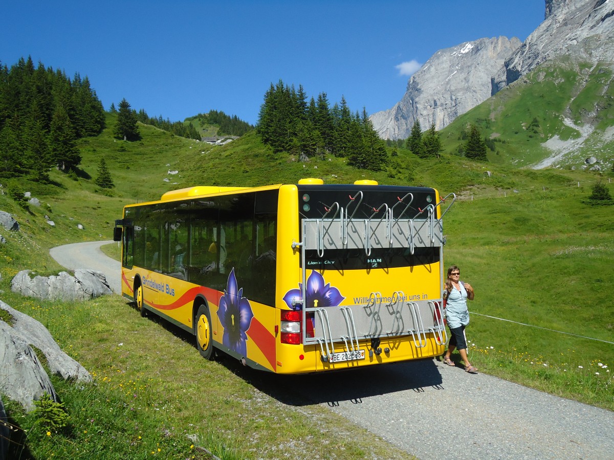 (134'785) - AVG Grindelwald - Nr. 14/BE 202'568 - MAN/G�ppel am 3. Juli 2011 in Grindelwald, Oberer Lauchb�hl