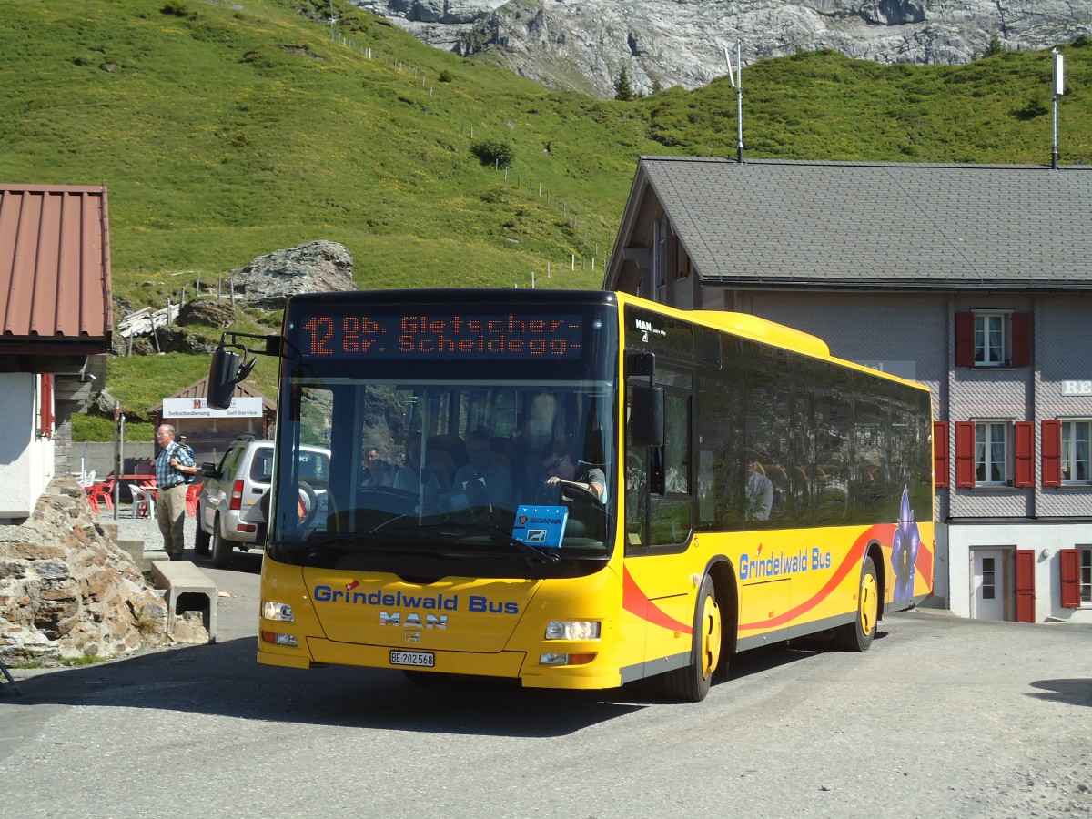 (134'787) - AVG Grindelwald - Nr. 14/BE 202'568 - MAN/G�ppel am 3. Juli 2011 auf der Grossen Scheidegg