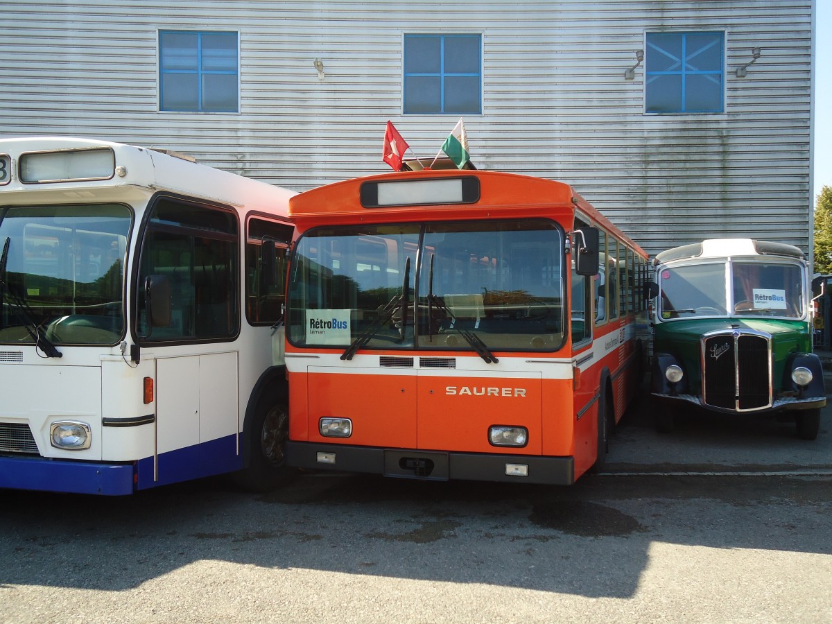 (135'575) - AOT Amriswil (R�trobus) - Nr. 8 - Saurer/T�scher (ex Frommelt, Vaduz) am 20. August 2011 in Moudon, R�trobus 