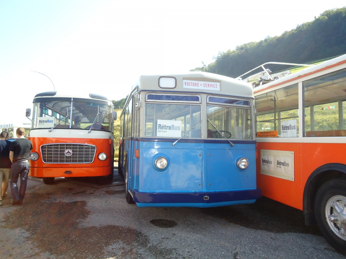 (135'583) - TL Lausanne (R�trobus) - Nr. 66 - FBW/SWS Trolleybus (ex Nr. 610; ex Nr. 66; ex VBZ Z�rich Nr. 179) am 20. August 2011 in Moudon, R�trobus