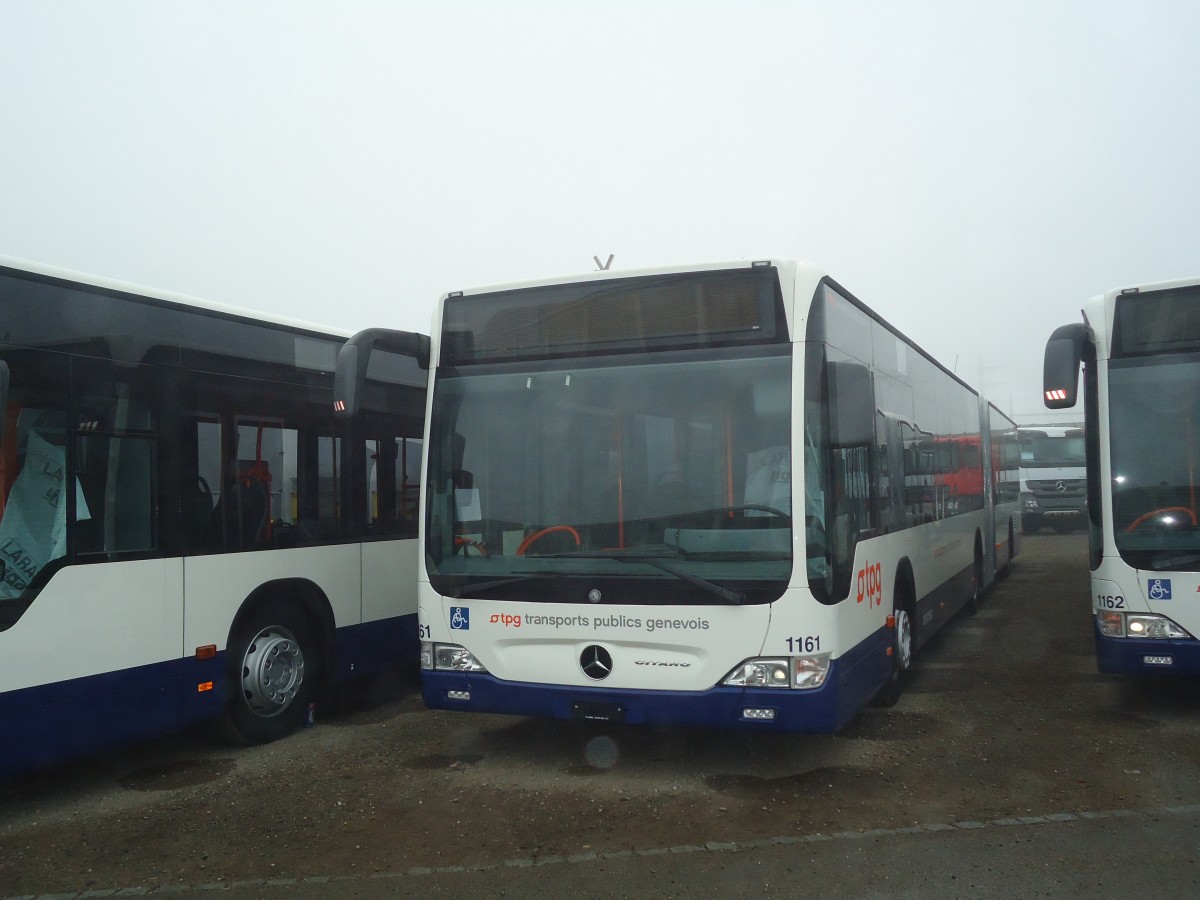 (136'885) - TPG Gen�ve - Nr. 1161 - Mercedes am 23. November 2011 in Wil, Larag