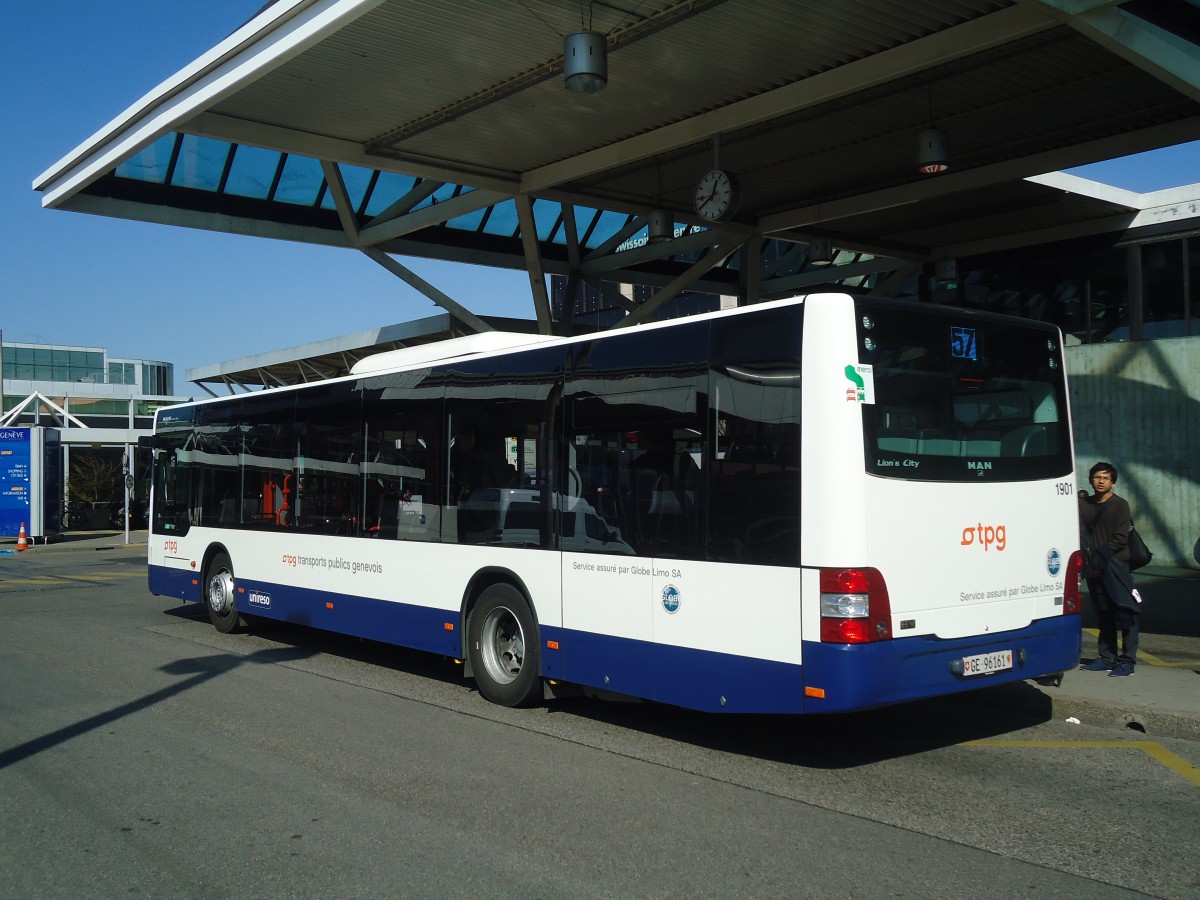 (138'234) - Globe-Limo, Gen�ve - Nr. 1901/GE 96'161 - MAN am 9. M�rz 2012 in Gen�ve, A�roport