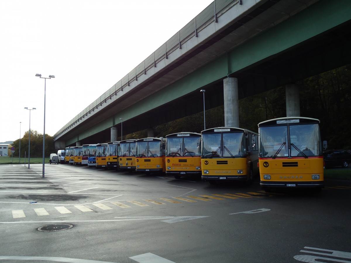 (141'987) - Schmid, Th�rishaus - BE 26'206 - Saurer/T�scher (ex P 24'244) am 21. Oktober 2012 in Flamatt, Bernstrasse