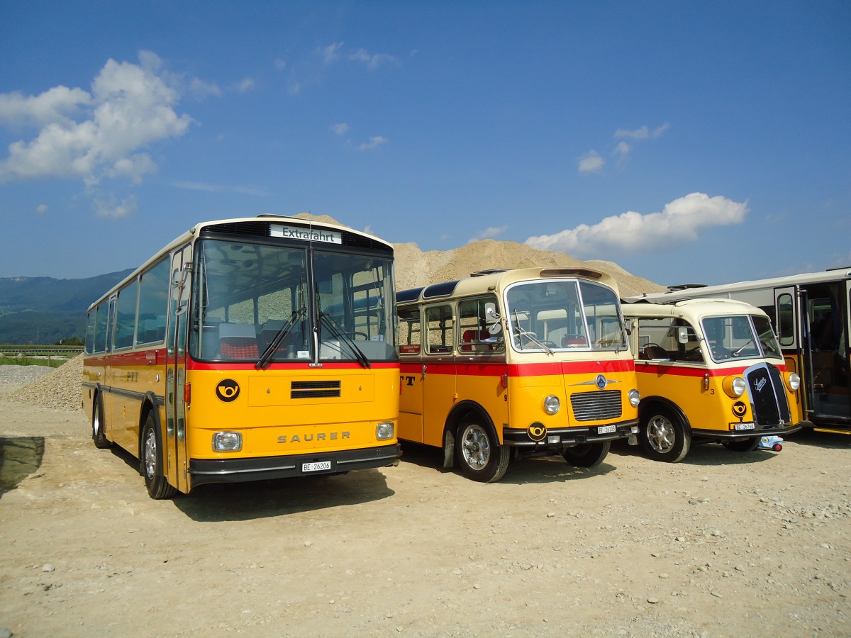 (146'609) - Schmid, Th�rishaus - BE 26'206 - Saurer/T�scher (ex P 24'244) am 31. August 2013 in Niederbipp, Saurertreffen