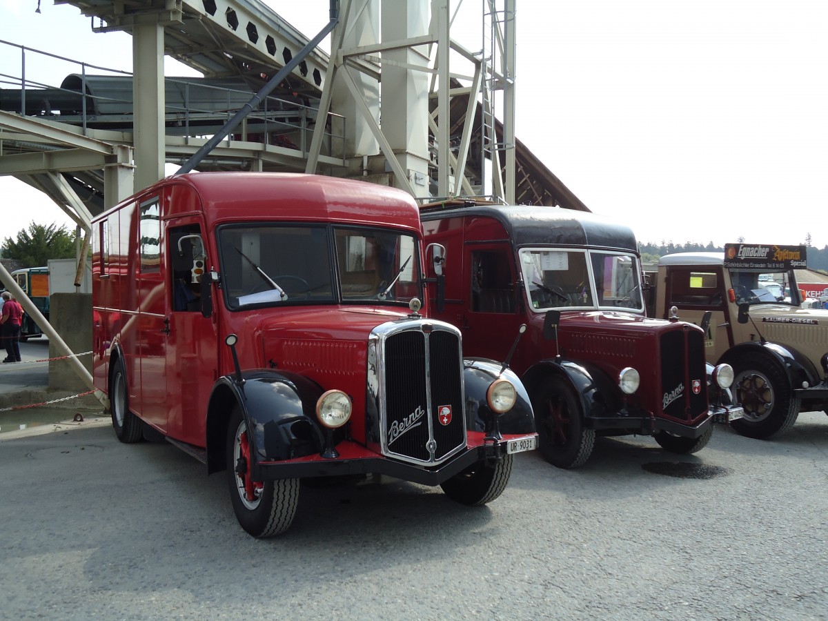 (146'727) - Schuler, Amsteg - UR 9031 - Berna/Hess (ex H�fliger, Luzern; ex M+3143) am 31. August 2013 in Niederbipp, Saurertreffen