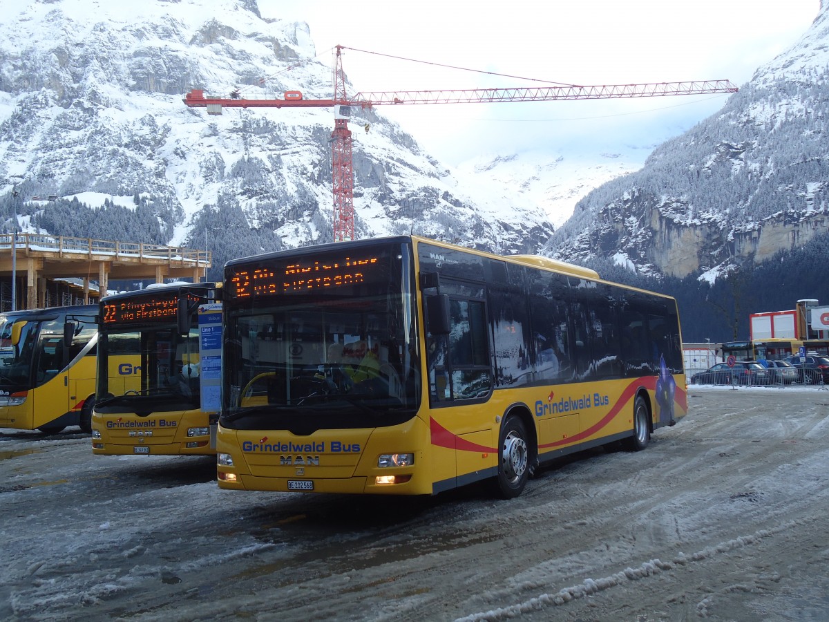 (148'615) - AVG Grindelwald - Nr. 14/BE 202'568 - MAN/G�ppel am 5. Januar 2014 beim Bahnhof Grindelwald