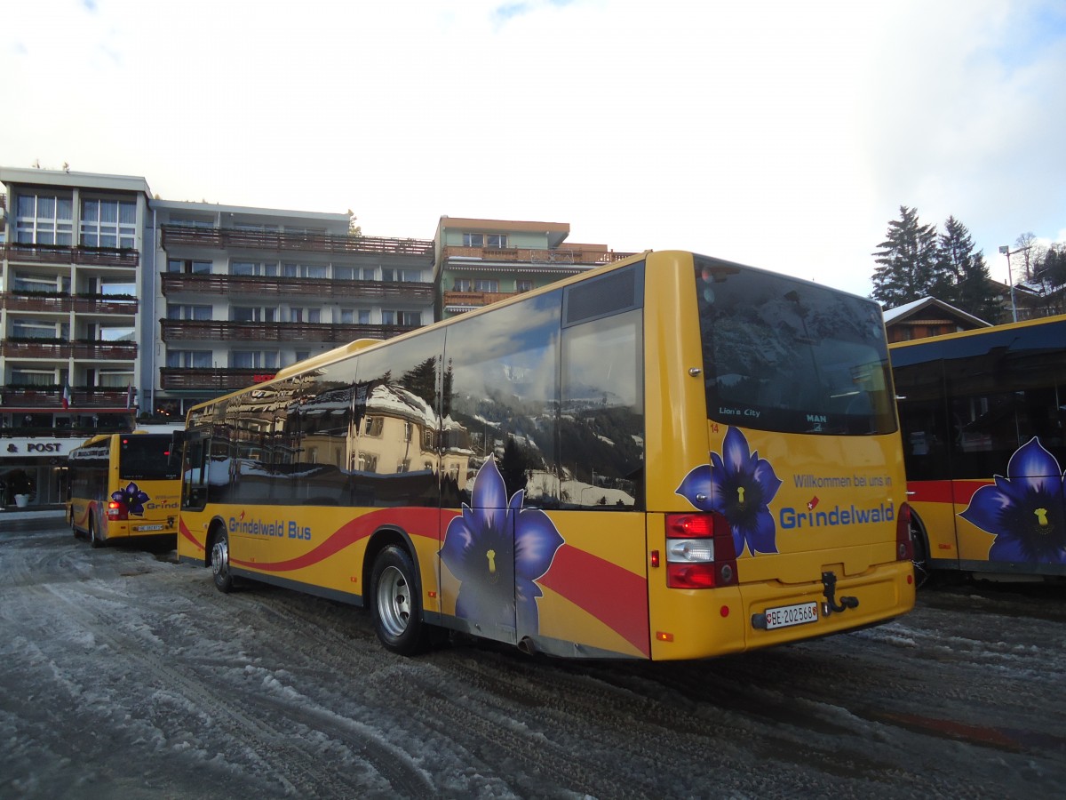 (148'631) - AVG Grindelwald - Nr. 14/BE 202'568 - MAN/G�ppel am 5. Januar 2014 beim Bahnhof Grindelwald