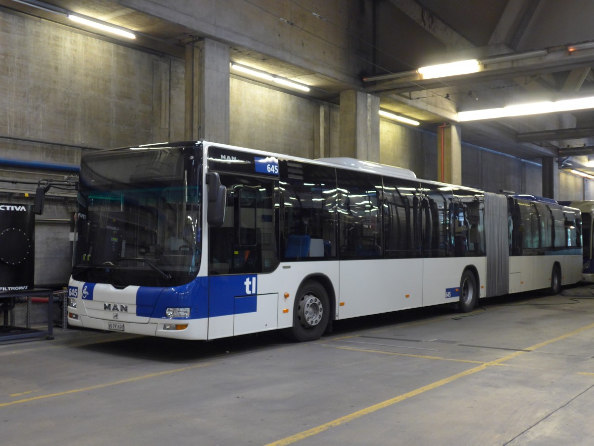 (151'199) - TL Lausanne - Nr. 645/VD 293'690 - MAN am 1. Juni 2014 in Lausanne, D�p�t Borde