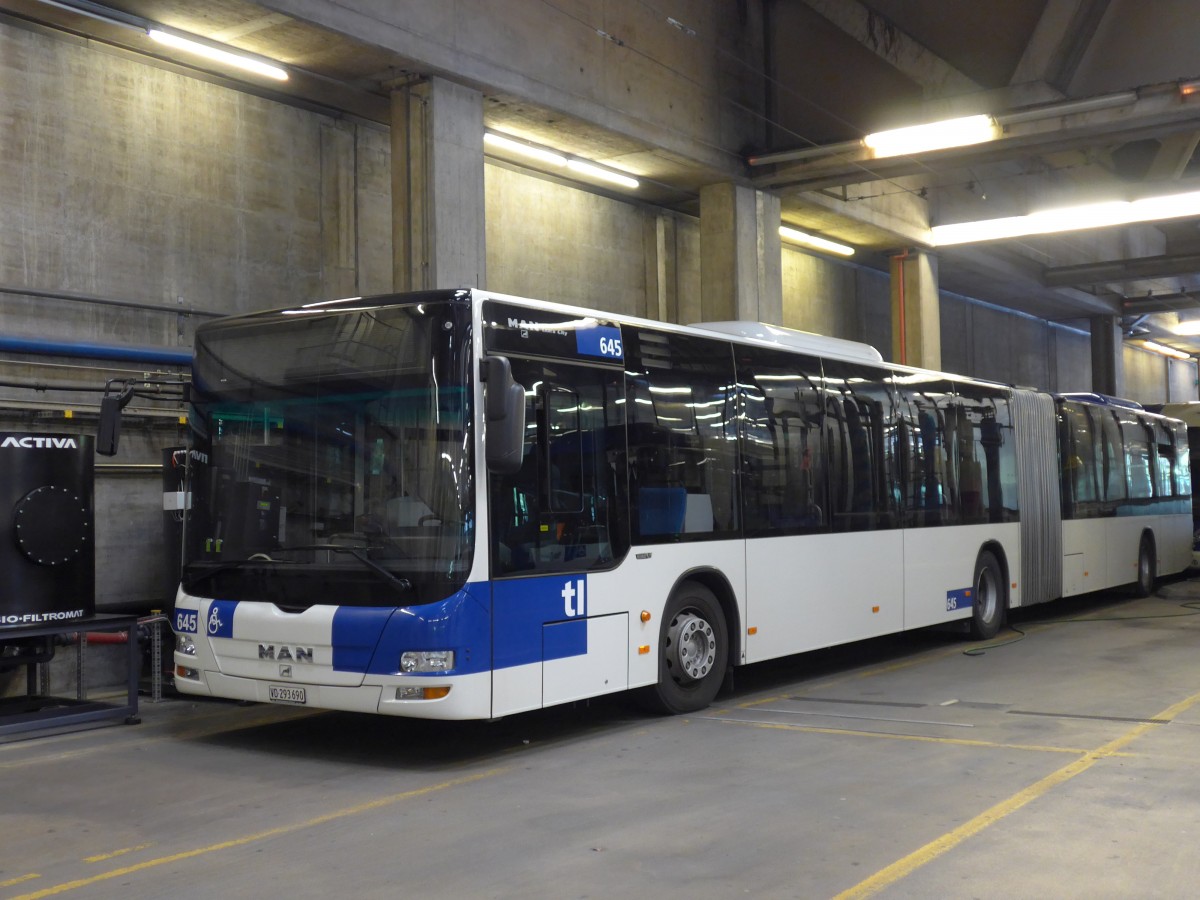 (151'205) - TL Lausanne - Nr. 645/VD 293'690 - MAN am 1. Juni 2014 in Lausanne, D�p�t Borde