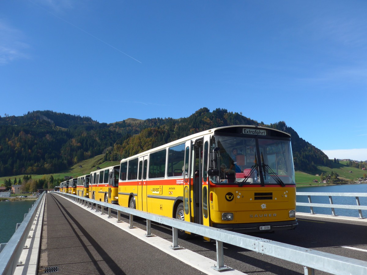 (155'631) - W�thrich, Ursenbach - Nr. 5/BE 10'184 - Saurer/T�scher (ex Sch�rch, Gutenburg Nr. 5; ex Engeloch, Riggisberg Nr. 5; ex P 25'668) am 12. Oktober 2014 in Einsiedeln, Viaduktstrasse
