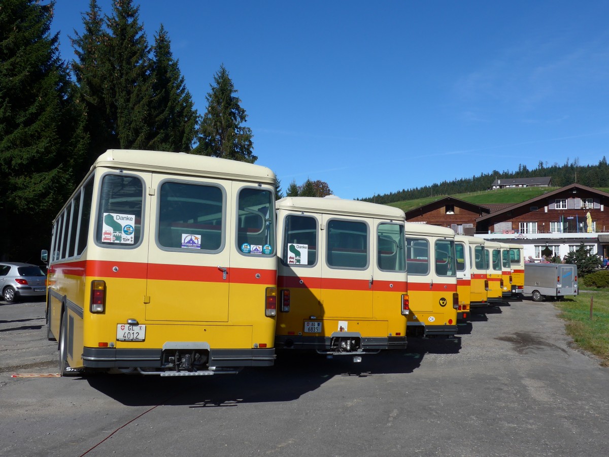(155'645) - Schmid, Glarus - GL 4012 - Saurer/T�scher (ex Mosimann, Aesch; ex Erne, Full; ex P 24'257) am 12. Oktober 2014 in Willerzell, Sattelegg