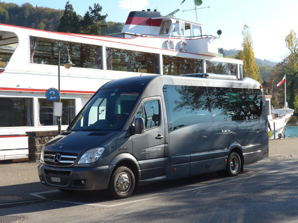 (156'334) - Sommer, Gr�nen - BE 721'917 - Mercedes/UNVI am 29. Oktober 2014 bei der Schiffl�ndte Thun