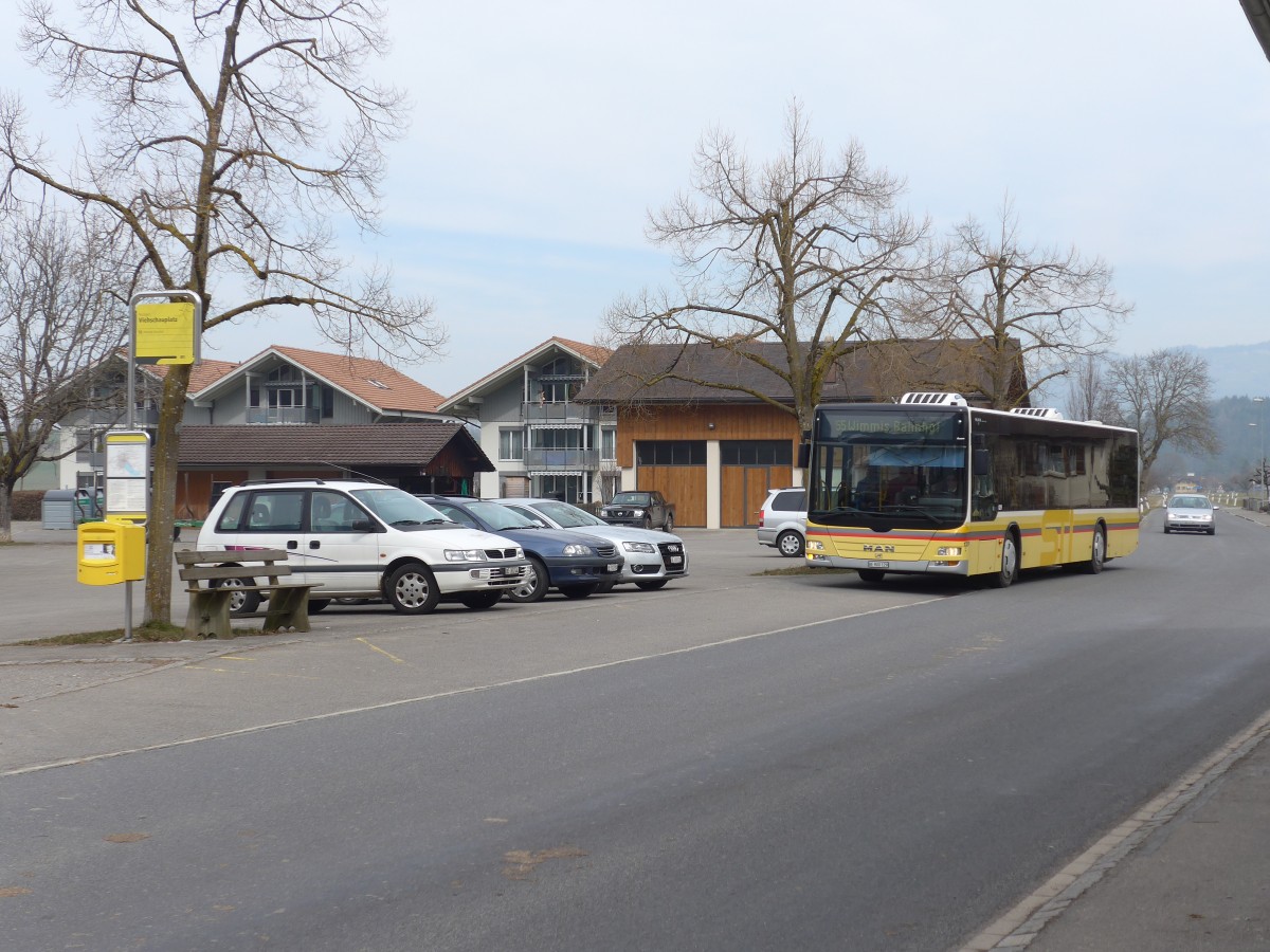 (159'184) - STI Thun - Nr. 129/BE 800'129 - MAN am 16. M�rz 2015 in Reutigen, Viehschauplatz