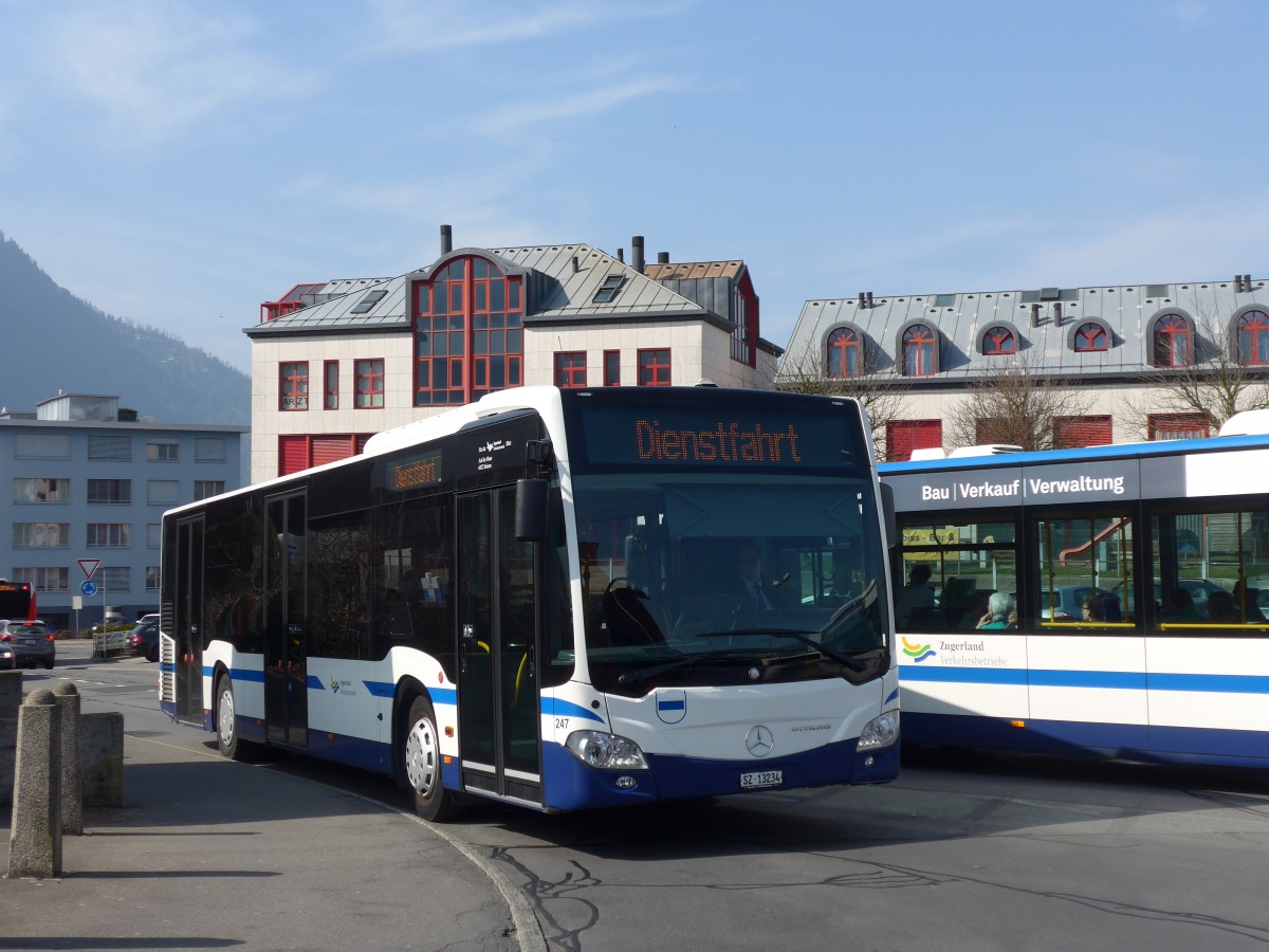 (159'343) - Auf der Maur, Steinen - Nr. 247/SZ 13'234 - Mercedes am 18. M�rz 2015 beim Bahnhof Arth-Goldau