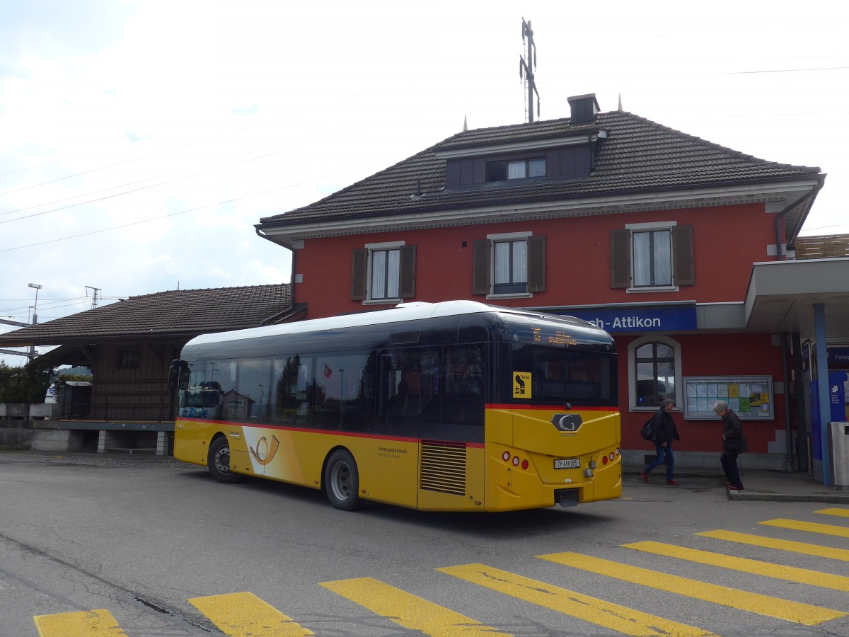 (159'442) - Moser, Flaach - Nr. 289/ZH 480'005 - G�ppel am 27. M�rz 2015 beim Bahnhof Rickenbach-Attikon