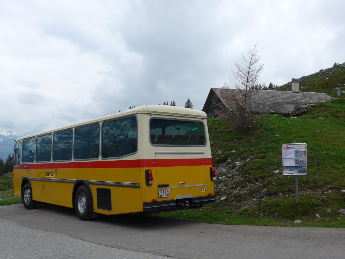 (161'008) - AVG Meiringen - Nr. 74/BE 607'481 - Saurer/R&J (ex PostAuto Berner Oberland; ex P 24'357) am 25. Mai 2015 in Grindelwald, Oberer Lauchb�hl