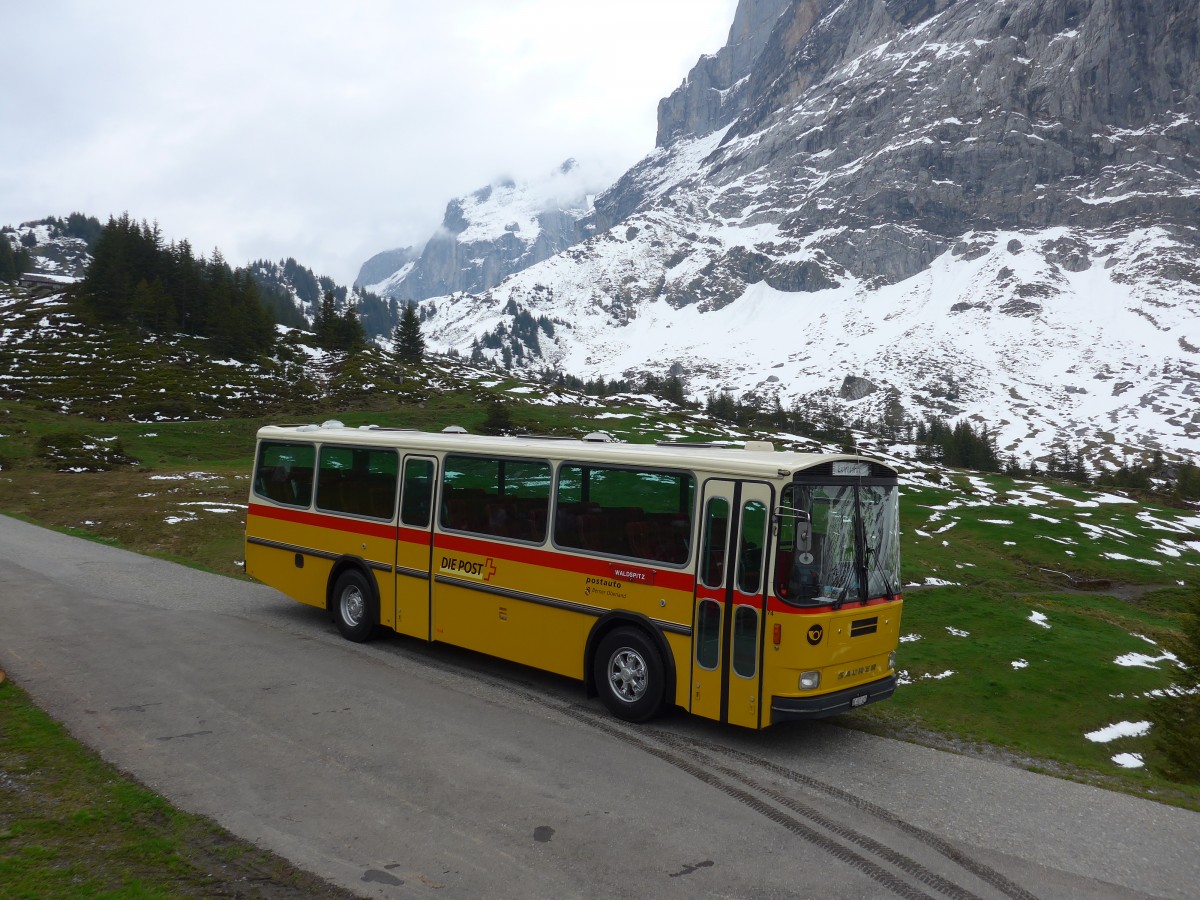 (161'010) - AVG Meiringen - Nr. 74/BE 607'481 - Saurer/R&J (ex PostAuto Berner Oberland; ex P 24'357) am 25. Mai 2015 in Grindelwald, Oberer Lauchb�hl