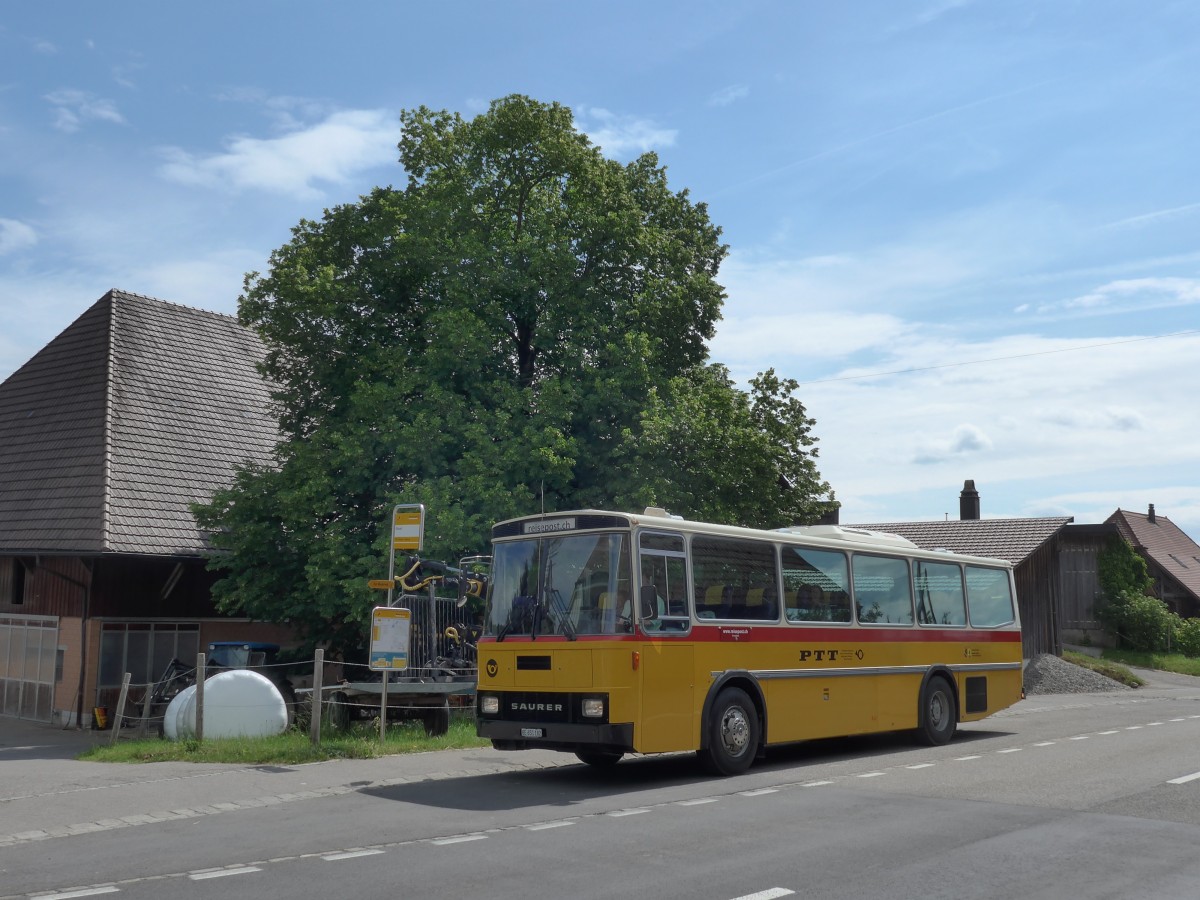(161'451) - Bernair, M�nsingen - BE 651'182 - Saurer/T�scher (ex Schebath, Lauerz; ex Albin, F�llanden; ex Heim, Flums) am 30. Mai 2015 in Illiswil