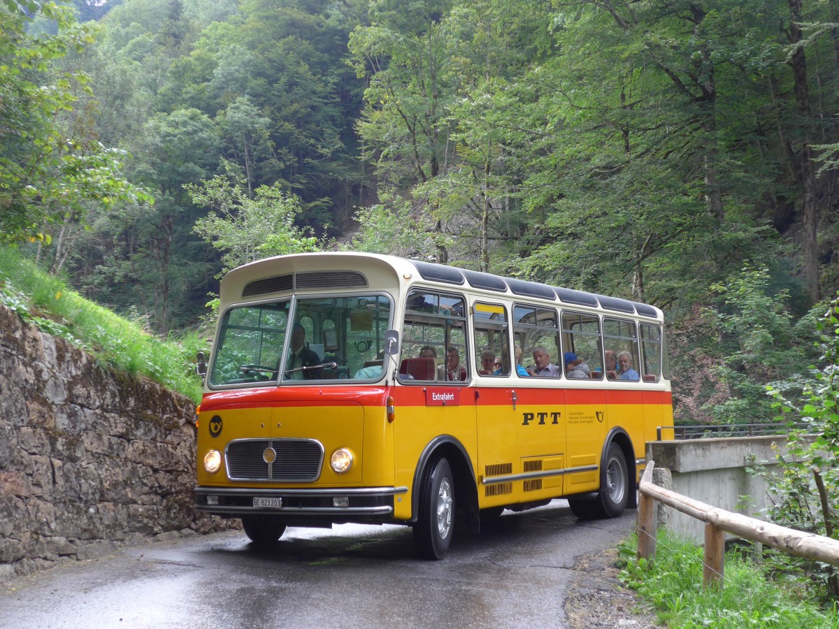 (163'784) - Rentsch, Gunten - BE 823'203 - FBW/Gangloff (ex P 23'203; ex P 21'003) am 23. August 2015 bei Habkern