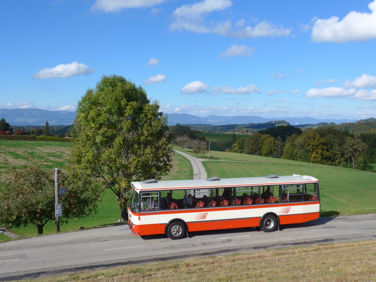 (166'024) - Frey, Opfikon - GL 15'272 - FBW/R&J (ex Tiemann, Oetwil Nr. 20; ex AAGS Schwyz Nr. 20) am 4. Oktober 2015 in Kaltacker, Br�gglen