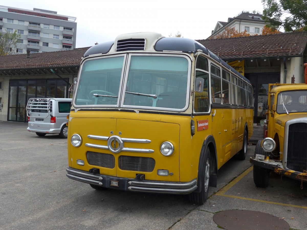 (166'172) - Oldie-Tours Z�risee, Wollerau - Nr. 21 - Saurer/Saurer (ex Marchetti, Airolo; ex P 24'119) am 10. Oktober 2015 in Uznach, Garage