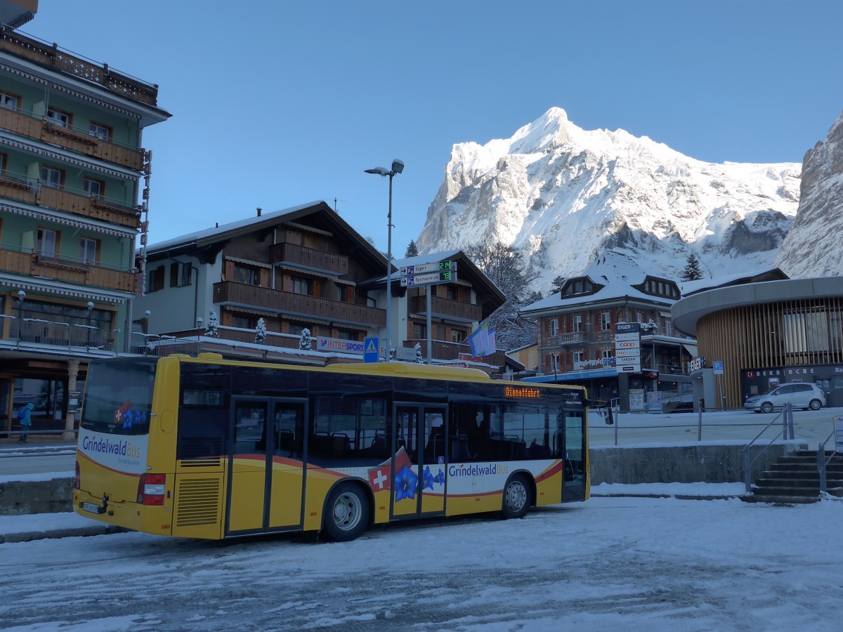 (167'484) - AVG Grindelwald - Nr. 19/BE 363'305 - MAN/G�ppel am 23. November 2015 beim Bahnhof Grindelwald