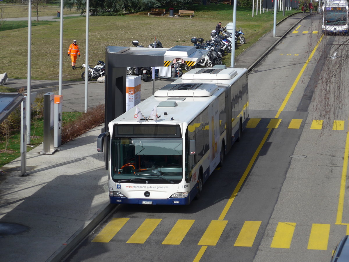 (169'135) - TPG Gen�ve - Nr. 1170/GE 960'920 - Mercedes am 7. M�rz 2016 in Gen�ve, Palexpo