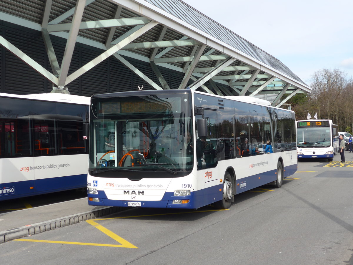 (169'207) - Globe-Limo, Gen�ve - Nr. 1910/GE 960'977 - MAN am 7. M�rz 2016 in Gen�ve, A�roport