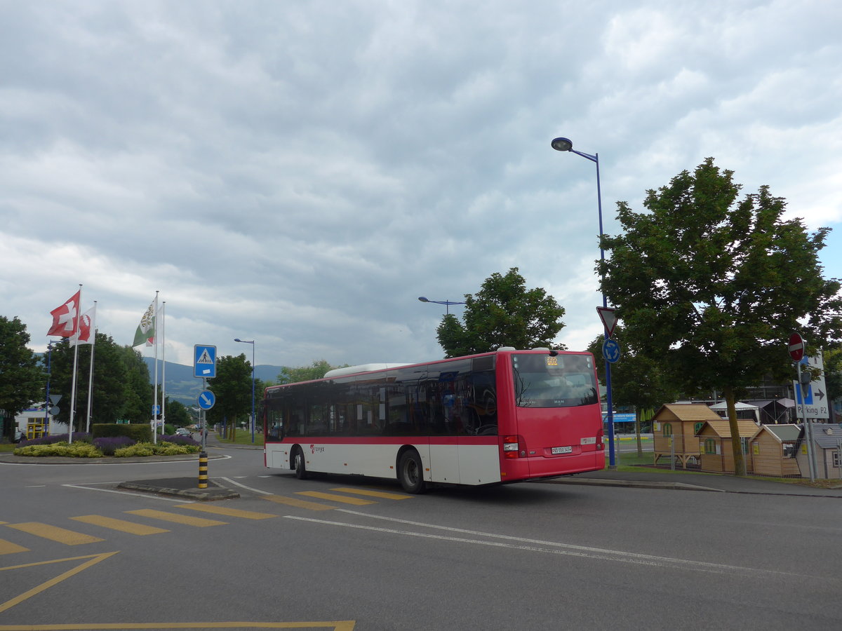 (173'037) - TRAVYS Yverdon - VD 550'345 - MAN am 15. Juli 2016 in Montagny, Chamard