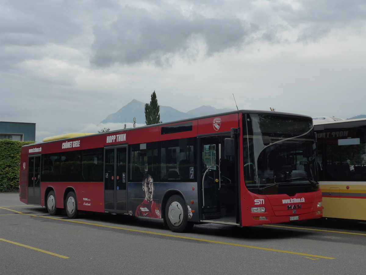 (174'110) - STI Thun - Nr. 149/BE 801'149 - MAN am 20. August 2016 bei der Schiffl�ndte Thun
