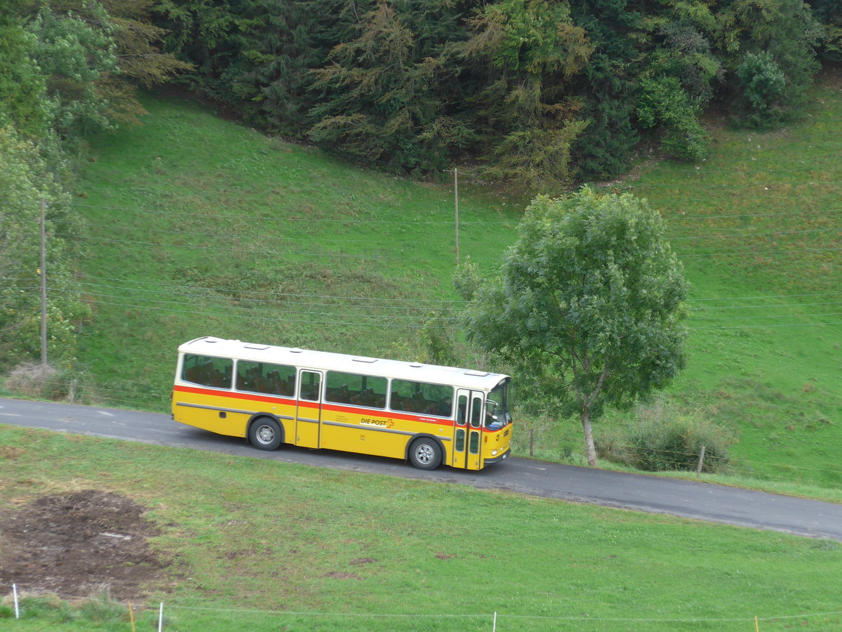 (175'352) - Schmid, Glarus - GL 4012 - Saurer/T�scher (ex Mosimann, Aesch; ex Erne, Full; ex P 24'257) am 2. Oktober 2016 am Scheltenpass (Bernerseite)