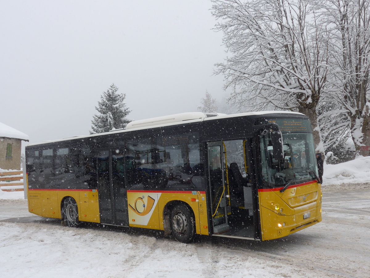 (178'254) - Buchard, Leytron - VS 461'300 - Volvo am 5. Februar 2017 in Ovronnaz, La Crois�e