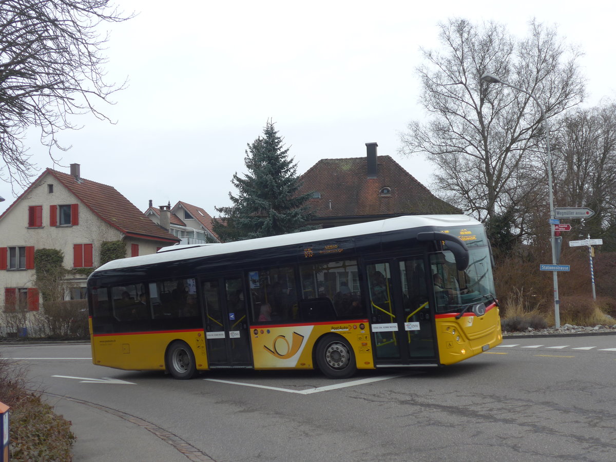 (178'447) - Moser, Flaach - Nr. 289/ZH 480'005 - G�ppel am 10. Februar 2017 beim Bahnhof Rickenbach-Attikon