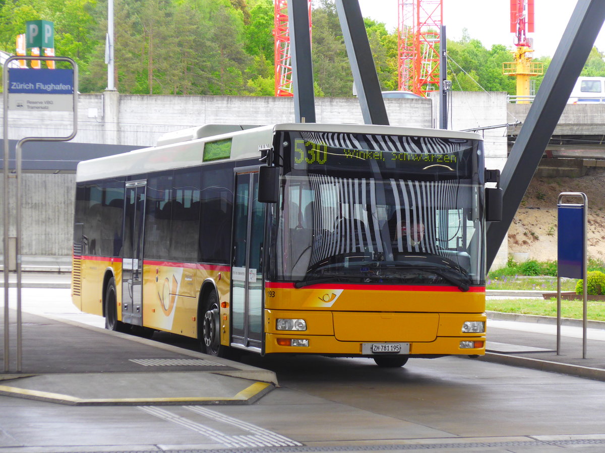 (180'021) - PostAuto Z�rich - Nr. 193/ZH 781'195 - MAN (ex Nr. 38) am 4. Mai 2017 in Z�rich, Flughafen