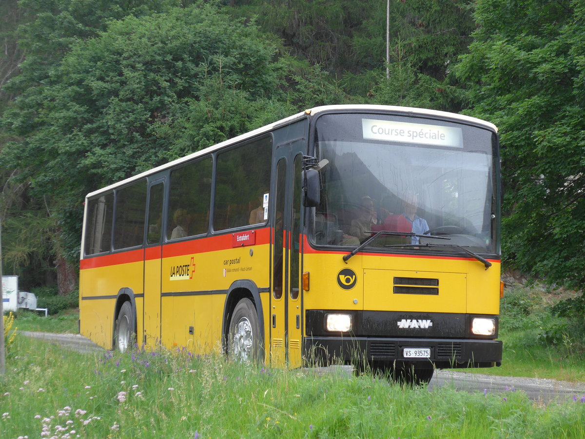 (181'855) - Oser, B�rchen - VS 93'575 - NAW/Lauber (ex Epiney, Ayer) am 9. Juli 2017 in La Sage, Plan de Bo�