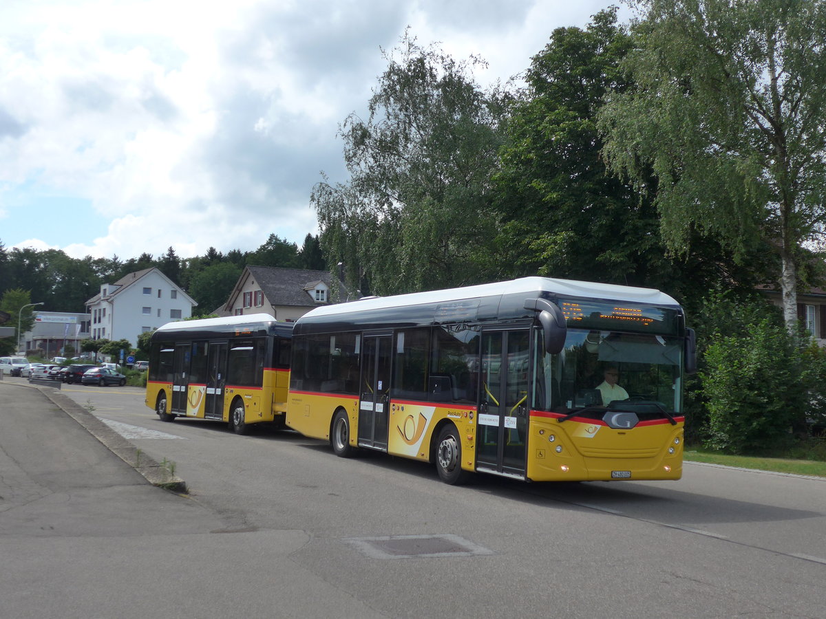 (182'005) - Moser, Flaach - Nr. 289/ZH 480'005 - G�ppel am 10. Juli 2017 beim Bahnhof Rickenbach-Attikon