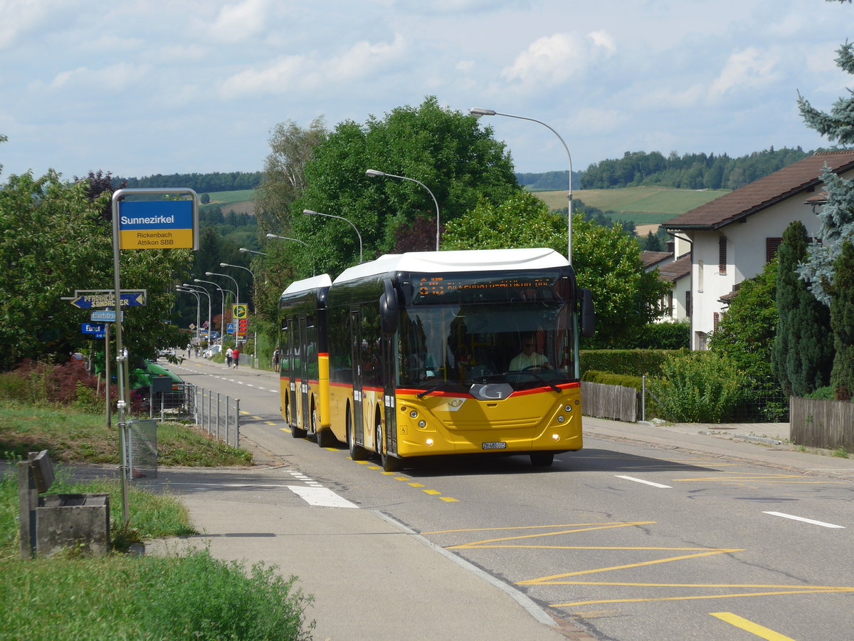 (182'007) - Moser, Flaach - Nr. 289/ZH 480'005 - G�ppel am 10. Juli 2017 in Rickenbach Sulz, Sunnezirkel